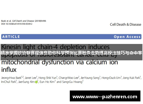 精准掌握欧协联赛程信息助你科学预测比赛胜负走势提高投注技巧与命中率